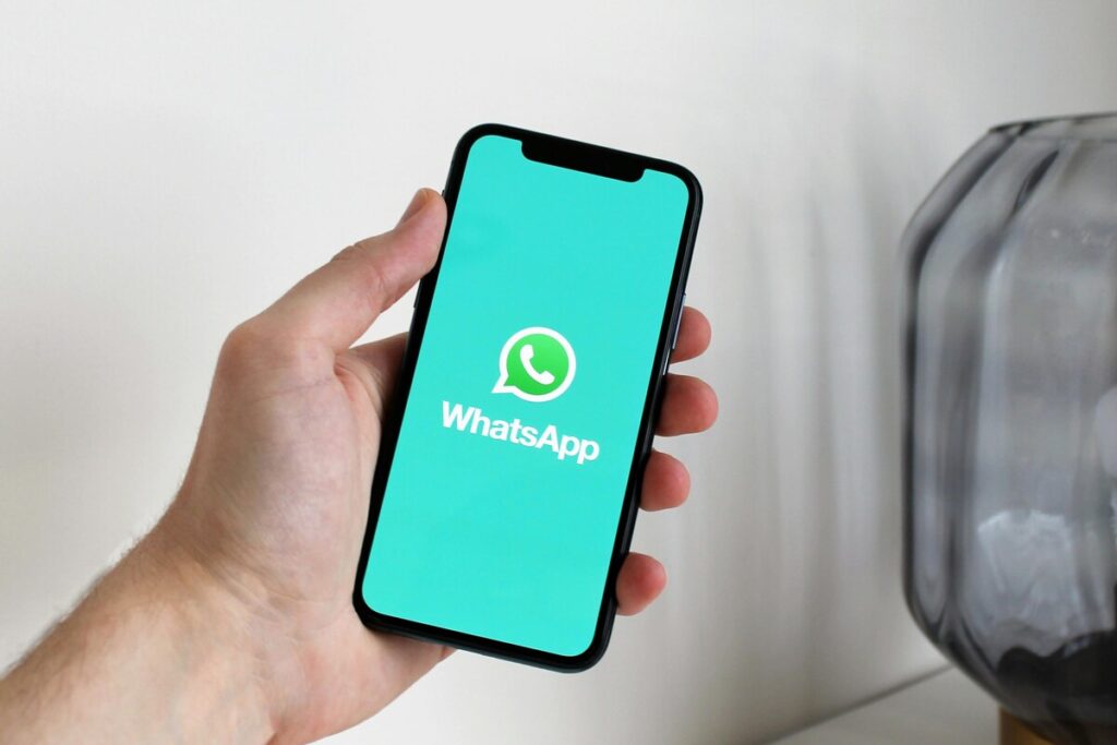 whatsapp guest