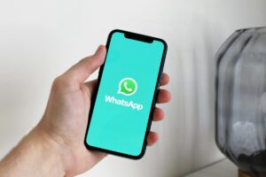 whatsapp guest