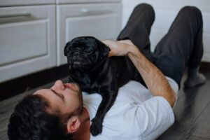 airbnb pet policy
