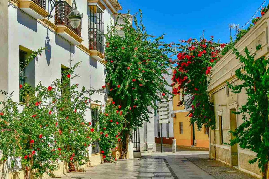 boja andalucia