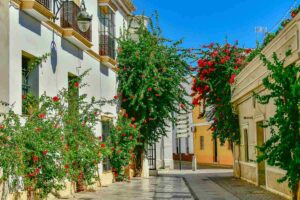 boja andalucia